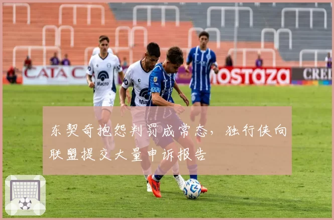 东契奇抱怨判罚成常态,独行侠向联盟提交大量申诉报告