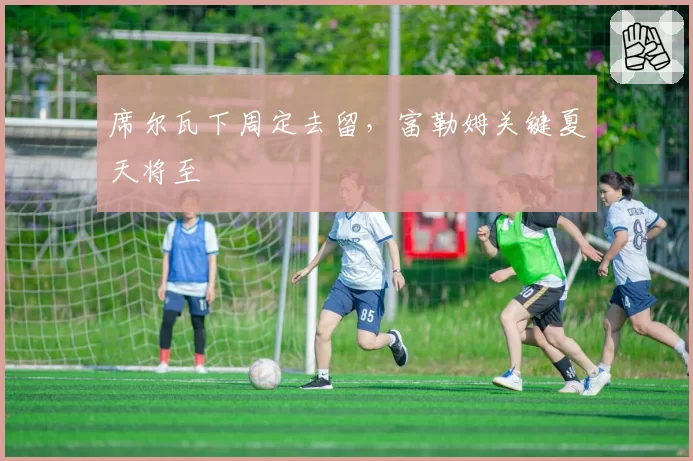 席尔瓦下周定去留，富勒姆关键夏天将至